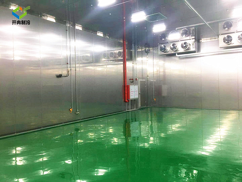 化工工業(yè)防火防爆冷庫安裝 化工工業(yè)防火防爆冷庫安裝