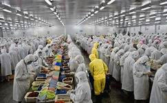 上海電商冷庫建造、運營