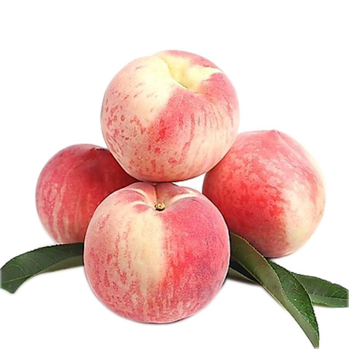 桃子冷庫(kù)保鮮方法,水果氣調(diào)庫(kù)安裝設(shè)計(jì)