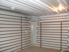 水產(chǎn)速凍庫建造方案,建5噸左右水產(chǎn)速凍庫價(jià)格？