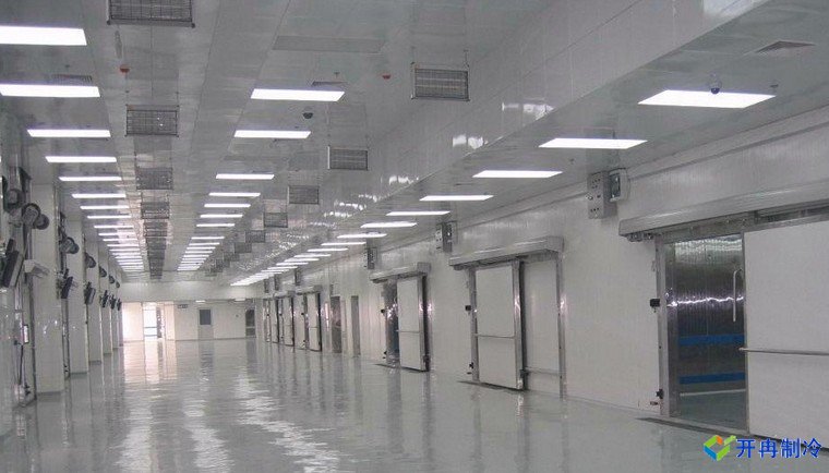 50000噸豬肉冷庫，冷庫總投資需要多少錢