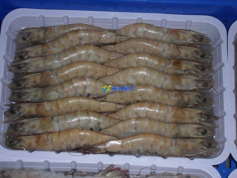 -18℃~-25℃冷凍食品低溫倉儲設(shè)備安裝費(fèi)用多少錢